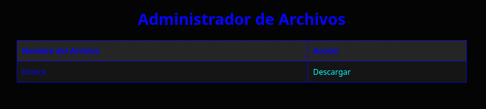 Manager page with bitlock file